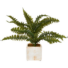 Artificial Fern Plant
