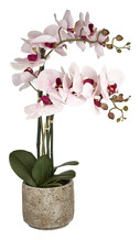 Artificial Orchid