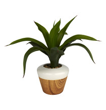 Artificial Plant Wooden