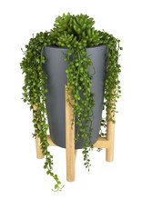 Artificial Plant Wooden Stand
