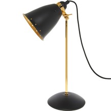 Black & Gold Tone Spot Lamp