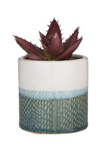 Faux Plant