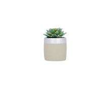Faux Small Succulent
