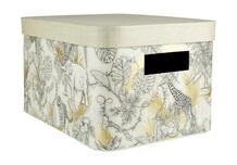 Storage and Filing Box