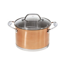 TK Maxx_Kochtopf Kupfer mit Deckel_19,99