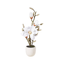 TK Maxx_Magnolien Kunstblumen_19,99