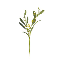 TK Maxx_Mimosenzweig gelb_3,49