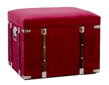 Pink Suede Trunk