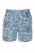 Zebra Shorts
