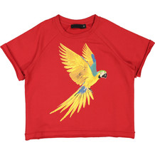Red Short Sleeve Parrot Sweatshirt