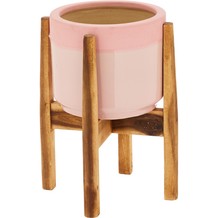 Bush Planter & Wooden Stand