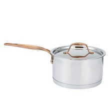 Stainless Steel Saucepan