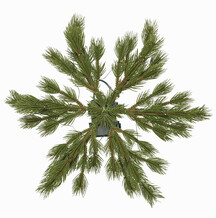 Christmas 2020_TK Maxx