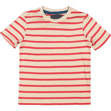 Brown & Red Striped T Shirt