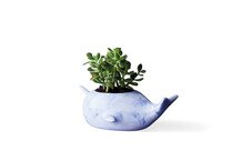TK Maxx_Christmas_2020