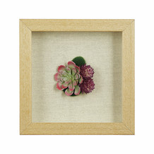 Succulent Wood Frame