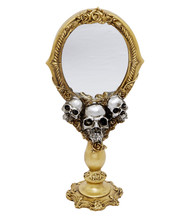 Gold And Silver Skull Mirror