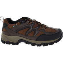 Brown Suede Walking Shoe