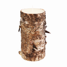 Large Birch Bark Candle