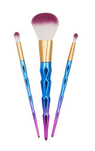 Pink and Blue Make Up Brush Set