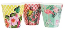 Viva Cuba Coloured Cups