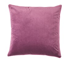 Purple Cushion