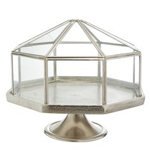 Hectagon Cake Tray With Lid