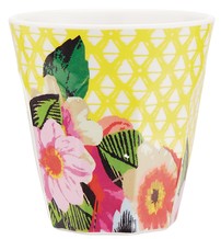 Viva Cuba Yellow Cub