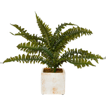 Artificial Fern Plant