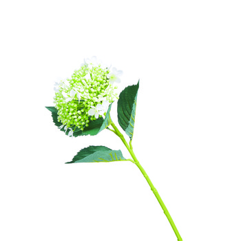 Elderflower Plastic Stems