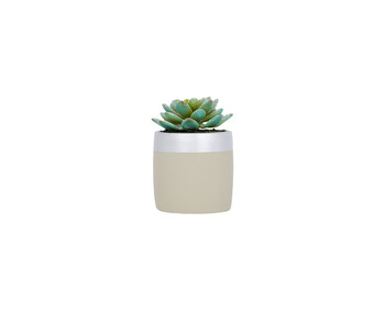 Faux Small Succulent