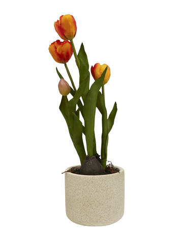 Faux Tulips in Pot