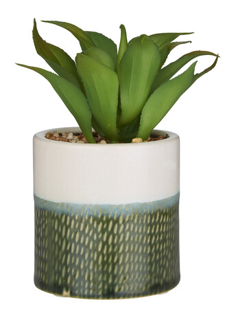 Green Faux Plant £3.99