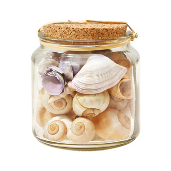 TK Maxx_Dekoglas mit Muscheln_4,99