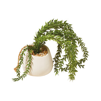 TK Maxx_Haengepflanze im Keramiktopf_12,99