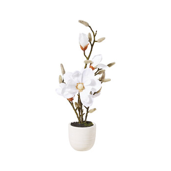TK Maxx_Magnolien Kunstblumen_19,99