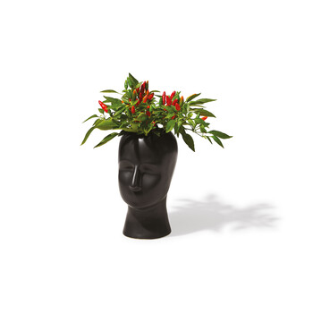 TK Maxx_Vase Kopfoptik_12,99