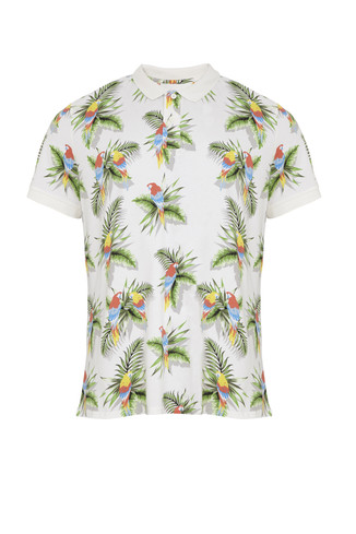 Summer Shirt