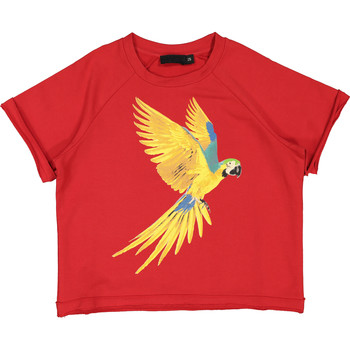 Red Short Sleeve Parrot Sweatshirt
