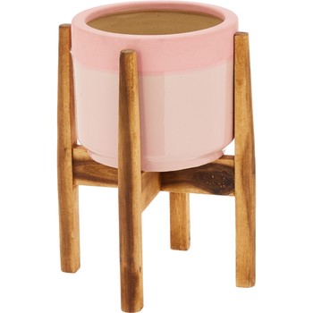 Bush Planter & Wooden Stand