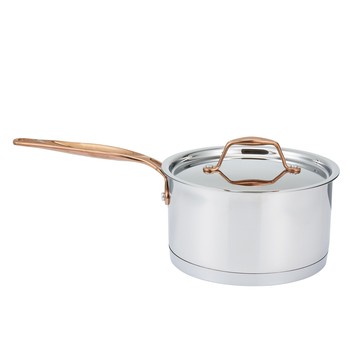 Stainless Steel Saucepan