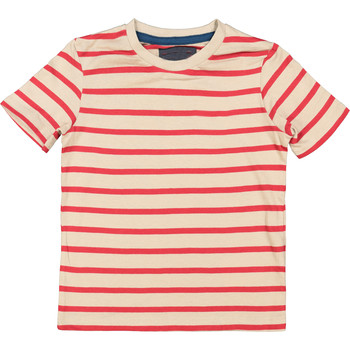 Brown & Red Striped T Shirt
