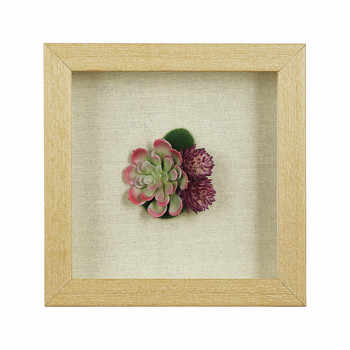 Succulent Wood Frame