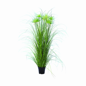 Spiky Tall Grass
