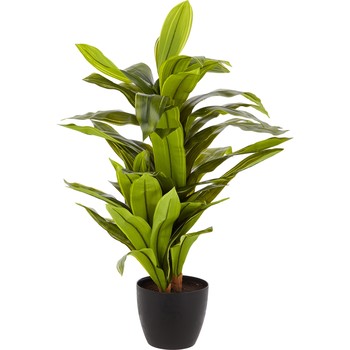 Green Artificial Yucca Plant