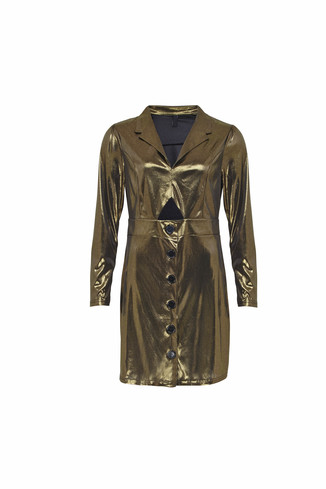 Metallic Gold Dress