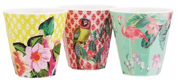 Viva Cuba Coloured Cups